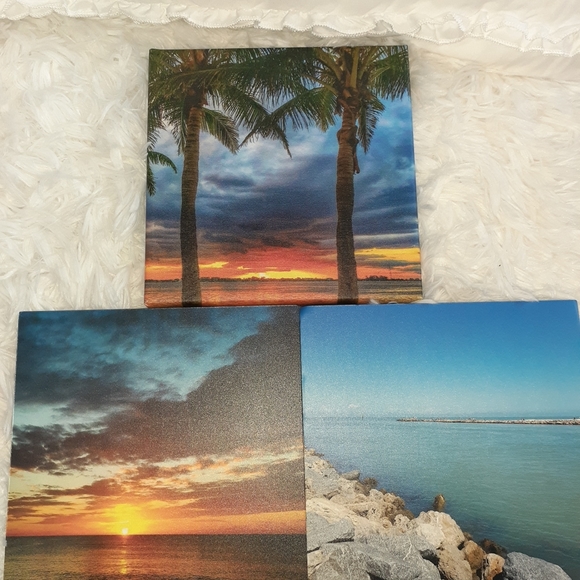 3 Palm Tree Paintings on canvas and foam - Picture 1 of 12